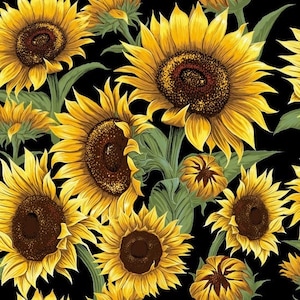 Fat Quarter Nutex Flower Market Sunflower Floral Garden 100% Cotton Fabric
