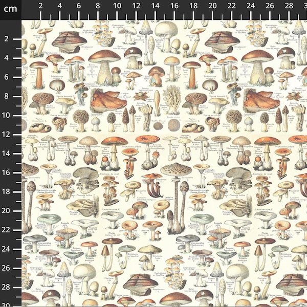 Fat Quarter Freespirit Eclectic Elements Palette Orange Toadstools 100% Cotton Fabric