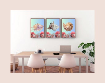 Sea Shells and Coral: A Wall Art Set of 3 Unique Shells
