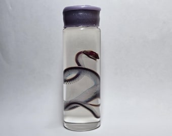 Diaphonized Ball Python (Hatchling)