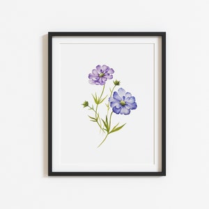 Instant Printable Watercolor Scabiosa Wall art / Floral Digital Download