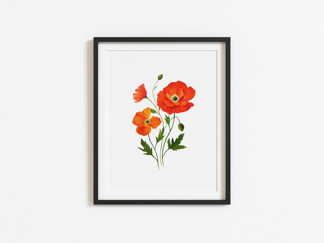 Poppy Flower Wall Art Printable Watercolor Etsy