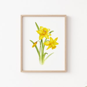 Pode incluir: Uma pintura em aquarela de narcisos amarelos com caules e folhas verdes sobre um fundo branco.