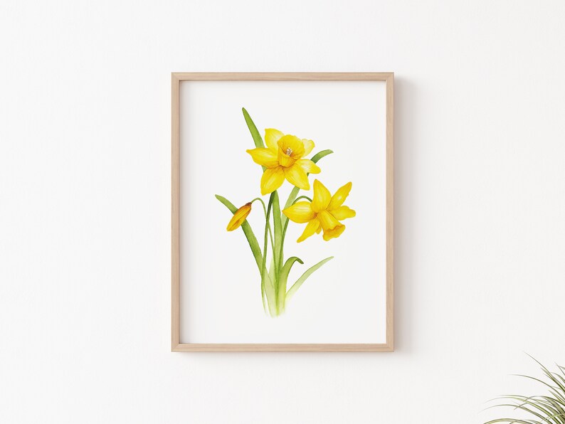Pode incluir: Uma pintura em aquarela de narcisos amarelos com caules e folhas verdes sobre um fundo branco.