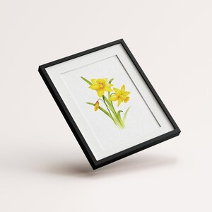 Pode incluir: Uma pintura de aquarela emoldurada de narcisos amarelos com caules e folhas verdes sobre um fundo branco.