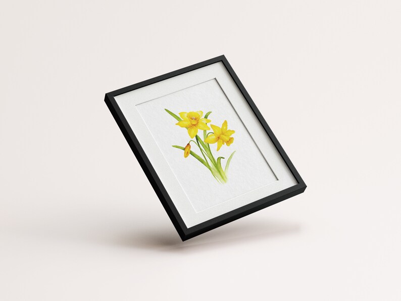 Pode incluir: Uma pintura de aquarela emoldurada de narcisos amarelos com caules e folhas verdes sobre um fundo branco.