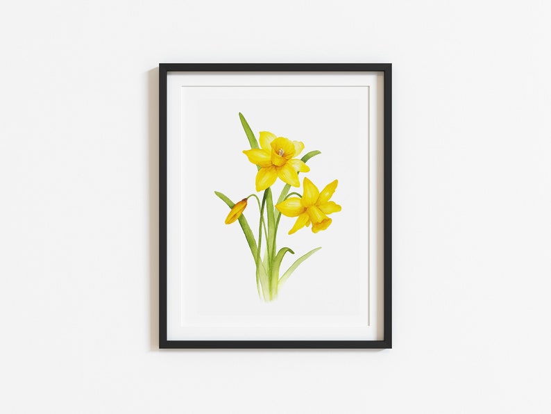 May include: A framed watercolor painting of yellow daffodils with green stems and leaves on a white background.