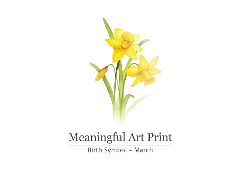 Impressão da flor de nascimento de março, arte de parede em aquarela de narciso, decoração botânica imprimível de narciso, presente de flor da primavera imagem 1
