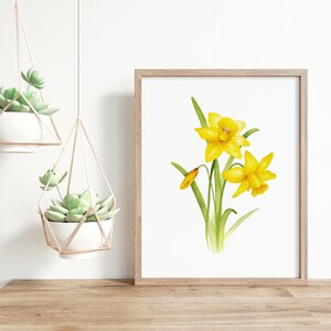 Pode incluir: Uma pintura em aquarela de narcisos amarelos com folhas verdes sobre um fundo branco. A pintura &eacute; emoldurada em uma moldura de madeira clara.