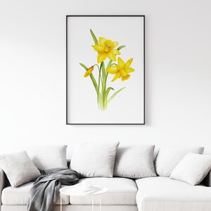 Pode incluir: Uma pintura em aquarela de narcisos amarelos com caules e folhas verdes sobre um fundo branco.