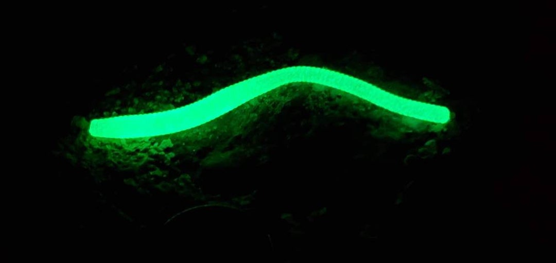 Soft Plastic Trout Worm Chartreuse UV Glow Color Plus 1 Micro Jig Etsy