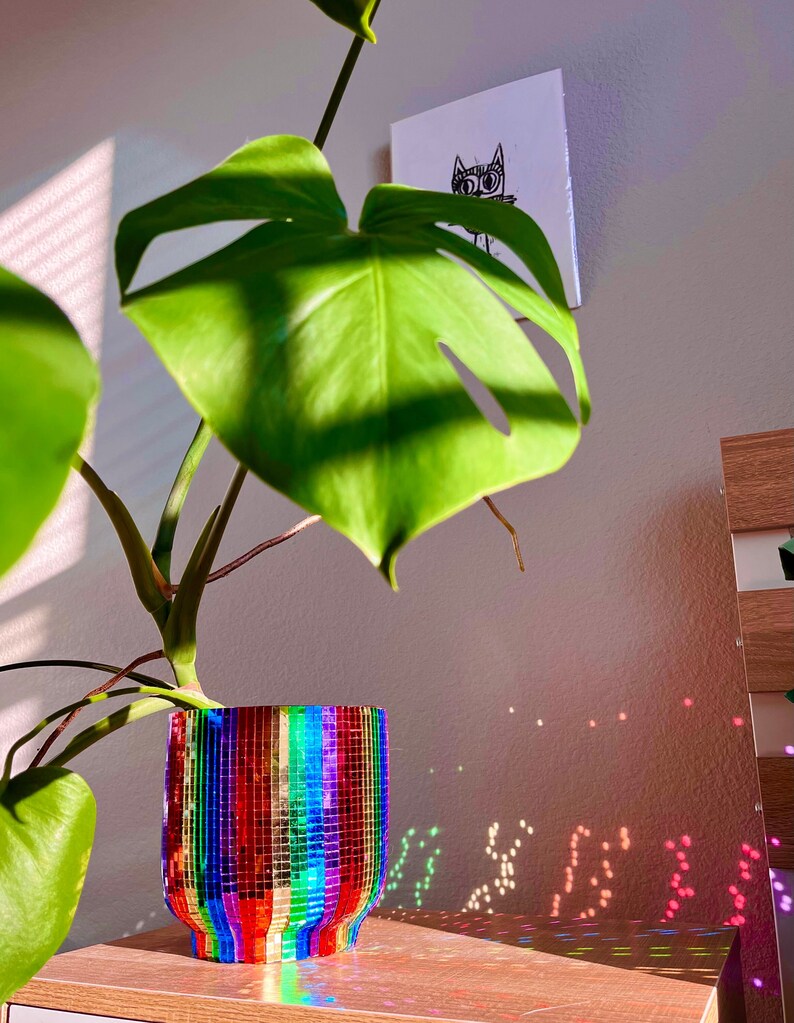 Disco Rainbow Custom Planter Pride Plant Pot Handmade 6in Etsy