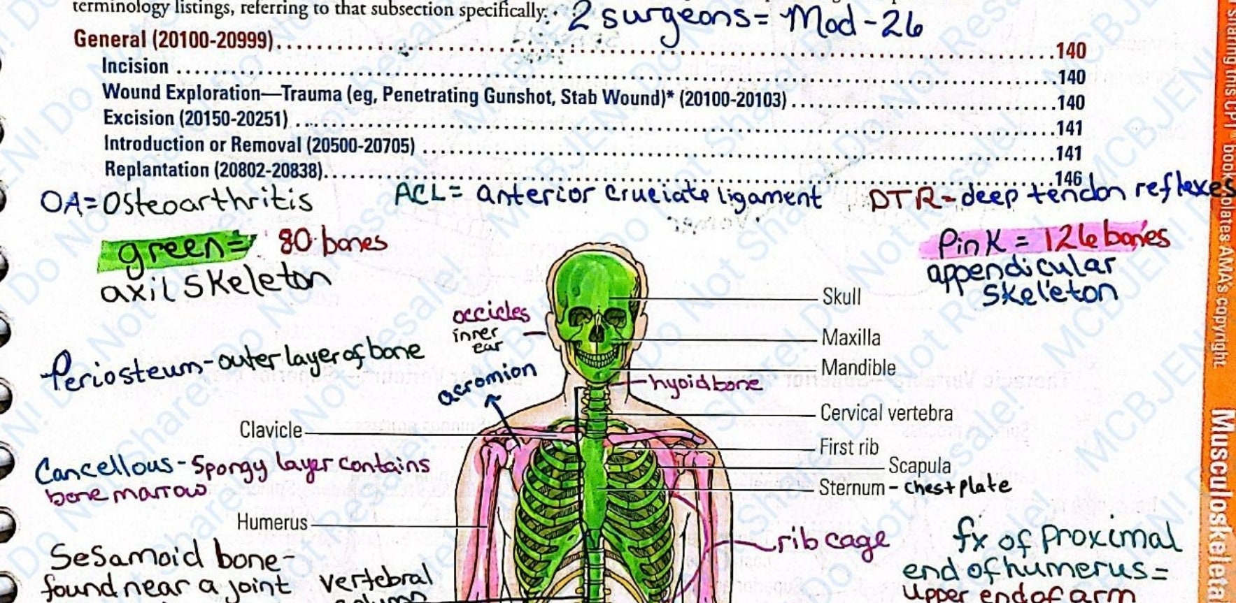 2022 Musculoskeletal Section Notes Medical Coding - Etsy