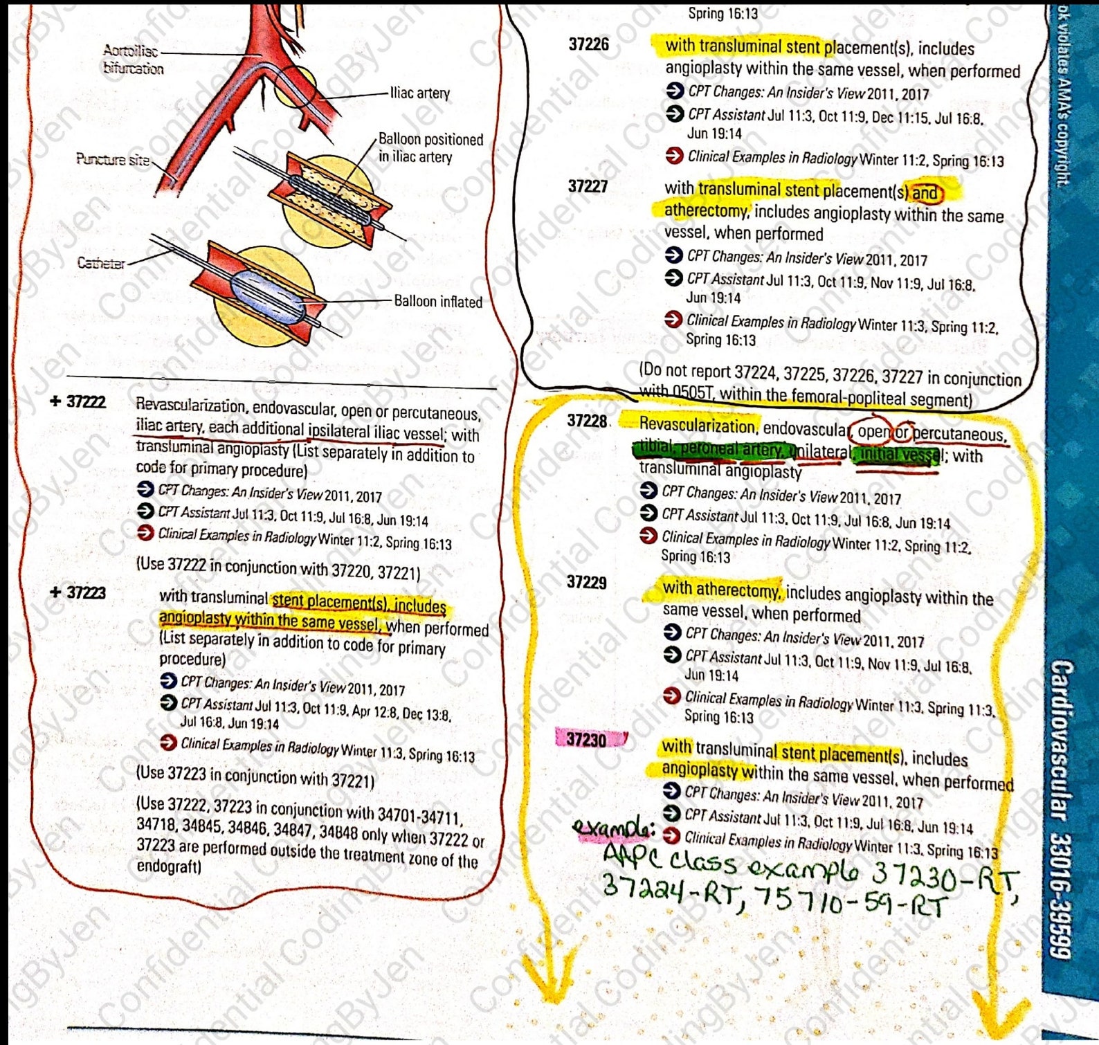 2021 CPT Surgery Cardiology guide notes for CPC exam AAPC | Etsy