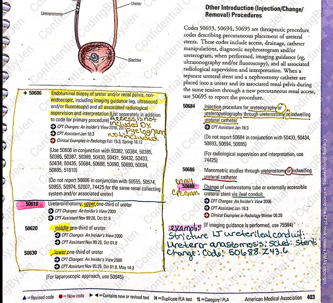 Urinary 2021 CPT Section with fixed numerical sequence fix Etsy