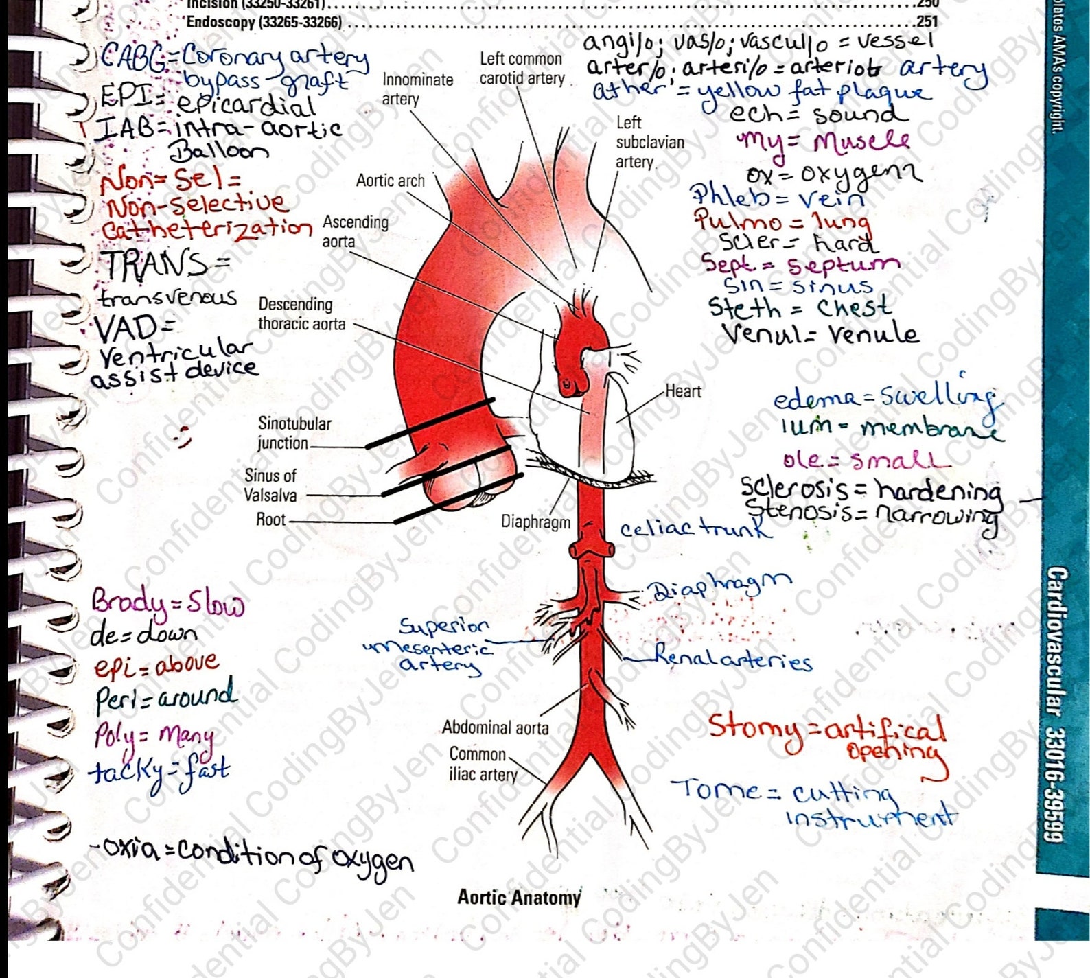 2021 CPT Surgery Cardiology guide notes for CPC exam AAPC Etsy