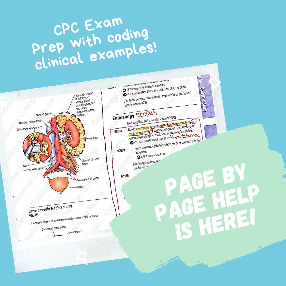Urinary 2021 CPT Section with fixed numerical sequence fix Etsy