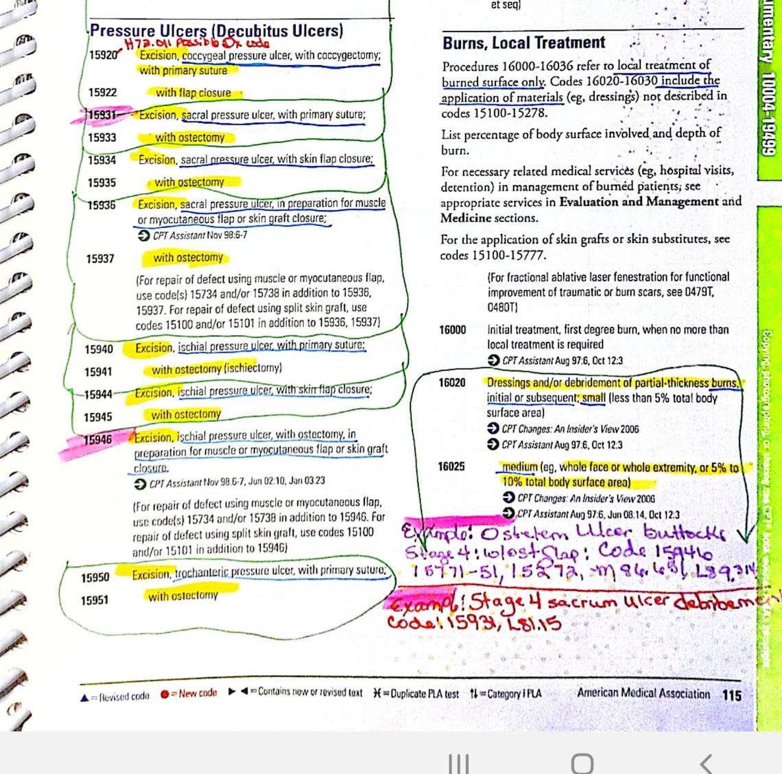 2021 CPT Surgery Integumentary guide notes for CPC exam. Etsy