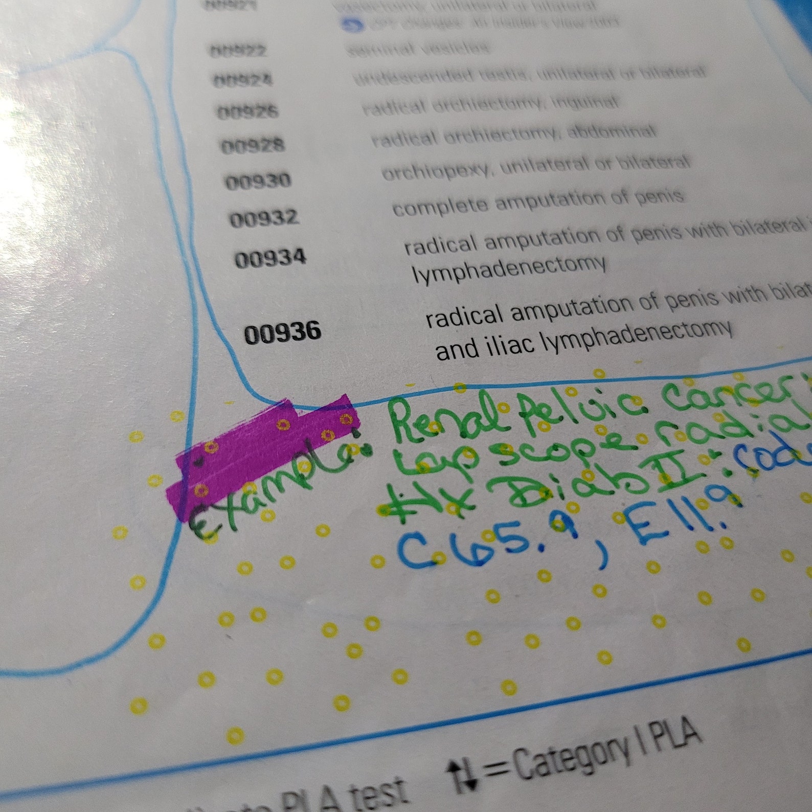 AAPC CPC CPT Anesthesia guideline notes test example codes Etsy