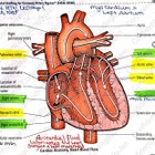 MedicalCodingByJen