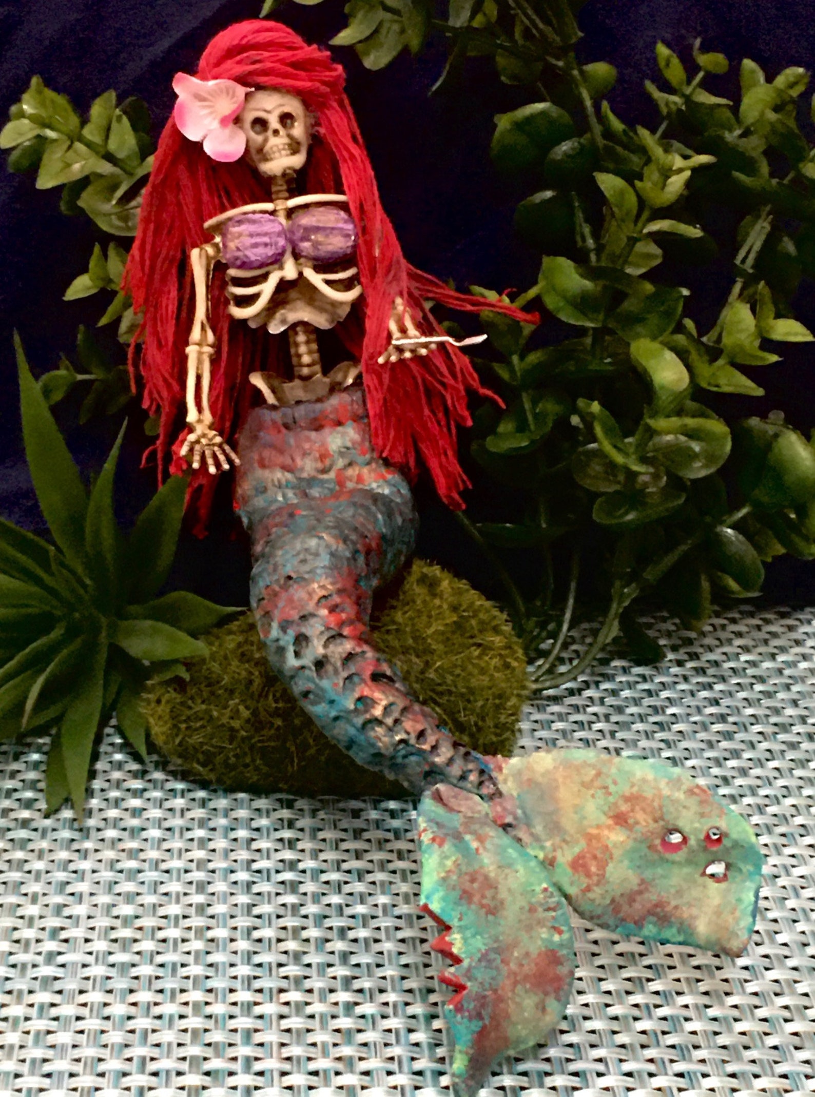 Dead Sea Little Mermaid Specimen | Etsy