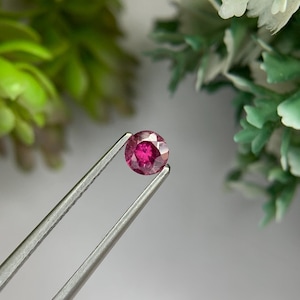 May include: A vibrant, round, pink gemstone is held by silver tweezers, set against a backdrop of blurred green leaves. The gemstone's facets reflect light, highlighting its colour and clarity. The image focuses on the gem's shape and brilliance.