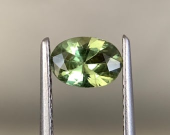 May include: A green oval gemstone with facets, held in tweezers.