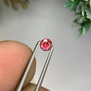 Può includere: Una piccola gemma rotonda e sfaccettata tenuta da una pinzetta. La gemma è di un vibrante colore rosa-rossastro, con sfaccettature interne visibili. La pinzetta è color argento e lo sfondo è sfocato, con accenni di fogliame verde.