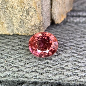 Può includere: Una pietra preziosa ovale rosa con taglio a faccette. La pietra preziosa è posizionata su uno sfondo di tessuto grigio.