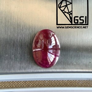 Può includere: Una gemma lucida di forma ovale, di colore rosso intenso e superficie riflettente. Un'inclusione bianca attraversa il centro. Il logo GSI e l'indirizzo del sito web sono visibili in alto a destra.