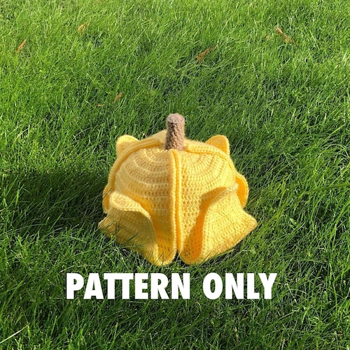 Cat Bucket Hat Crochet Pattern Etsy