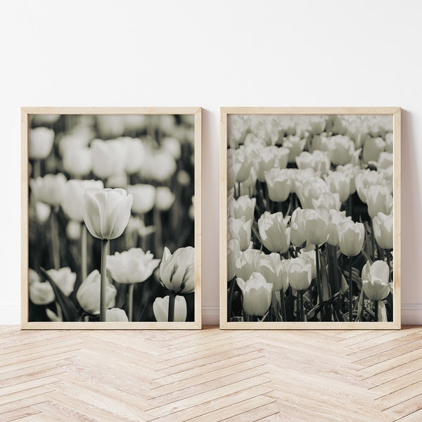 Set of Tulips Printable Poster | Black and White Tulips | Floral Wall Art | Instant Download | Photography | Spring