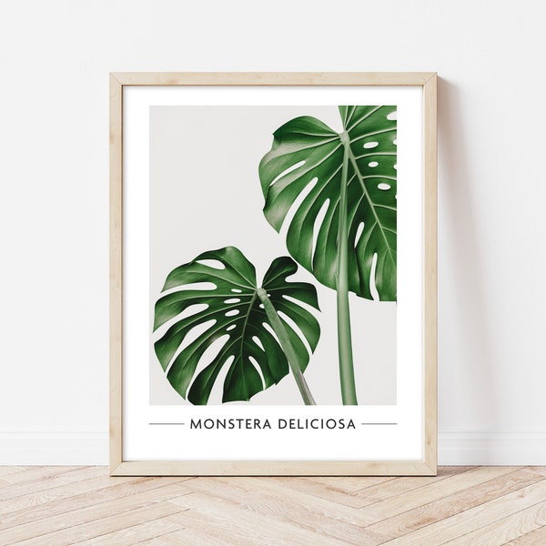 Monstera Plant Poster | Wall Art | Plant Printable Poster | Instant Download | Photography Print