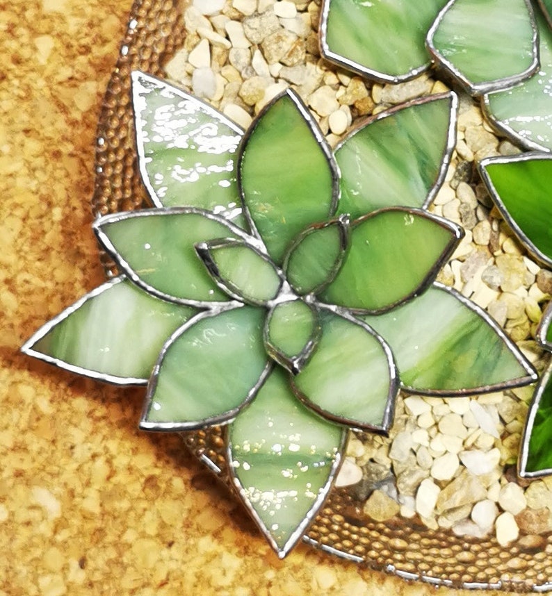 Stained Glass Succulent Waterless Plant Cactus Succulent Etsy