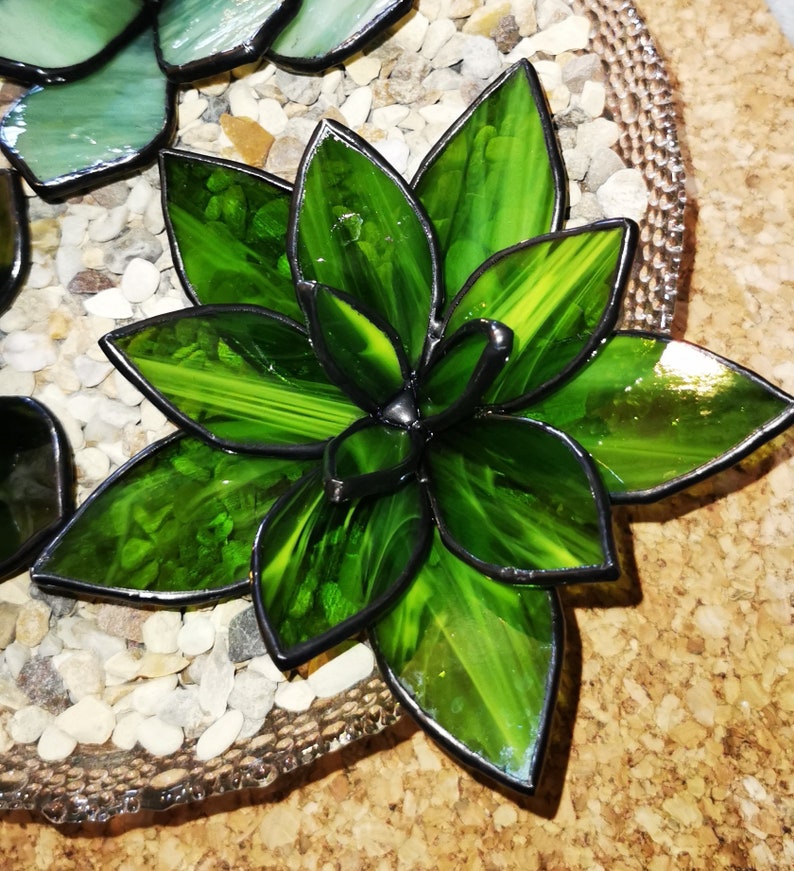 Stained glass succulent, waterless plant, cactus, succulent Green Wispy Trans