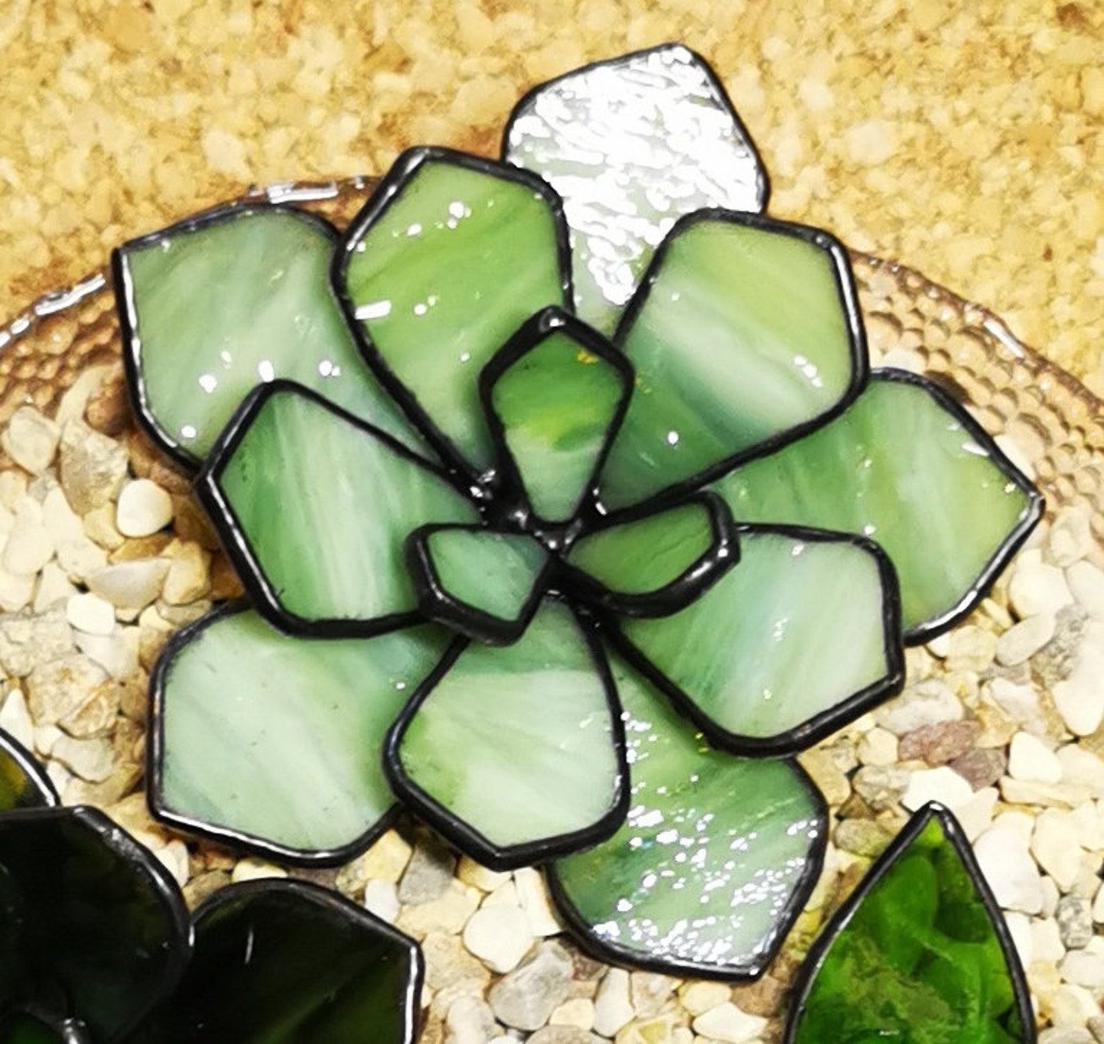Stained Glass Succulent Waterless Plant Cactus Succulent Etsy