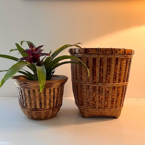 May include: Two woven bamboo planters. The smaller planter holds a plant with green leaves and a dark red flower. The larger planter is empty. Both planters have a natural brown color with vertical dark brown stripes.