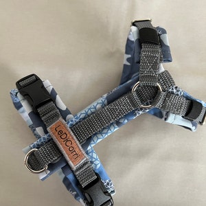 Harness for dogs, dog harness/Y harness/chest harness, adjustable, xs for Chihuahua or Yorkshire Terrier, padded with soft shell