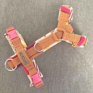 Harness for dogs, dog harness/Y-harness/chest harness, adjustable, xs for Chihuahua or Yorkshire Terrier, padded with soft shell