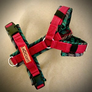 Harness for dogs, dog harness/Y harness/chest harness, adjustable, xs for Chihuahua or Yorkshire terrier, padded with soft shell