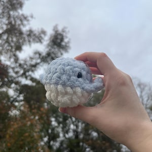 Mini Whale Stress Toy