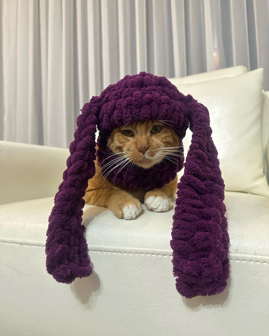 Halloween Cat Costume Halloween Cat Hat Balaclava for Cat Etsy