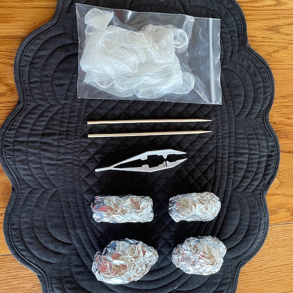 Owl pellet dissection kit