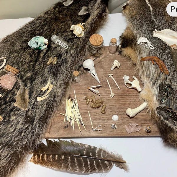Nature/Taxidermy Mystery Box