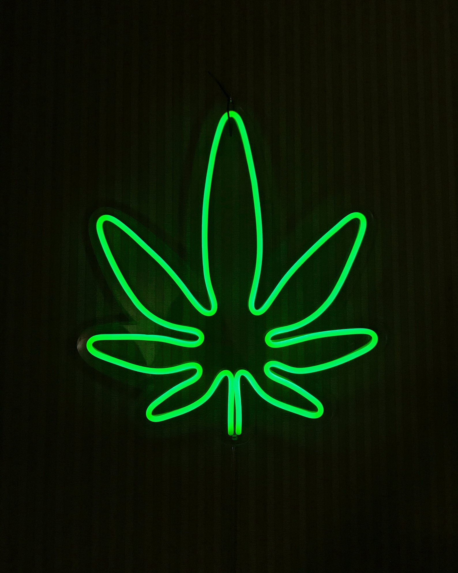Weed Neon Sign Marijuana Neon Sign Cannabis Neon Sign Smoke Etsy