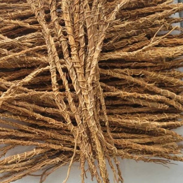 Organic Gongoli, Khamaré, Vetiver Root, khamaré (5PIECES)