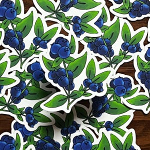 Bunch of Blueberries Sticker