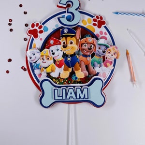 Paw Patrol Shaker Cake Topper