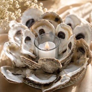 May include: A decorative candle holder constructed from multiple natural oyster shells arranged in a circular, flower-like pattern. A clear glass votive holder sits in the center, containing a small white candle with a glowing flame.