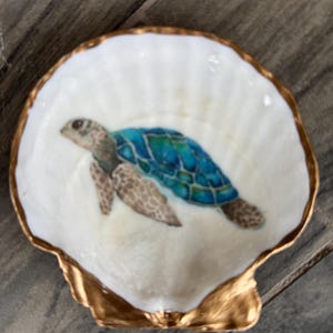 May include: A decorative seashell dish with a hand-painted sea turtle design. The turtle features a blue and green shell, with brown flippers and head. The shell dish has a gold-painted rim and a white interior.
